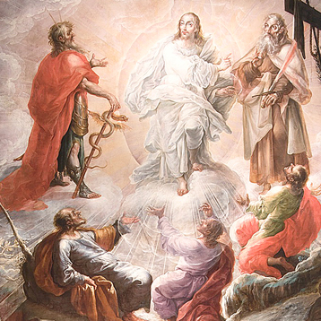 hamerman transfiguration