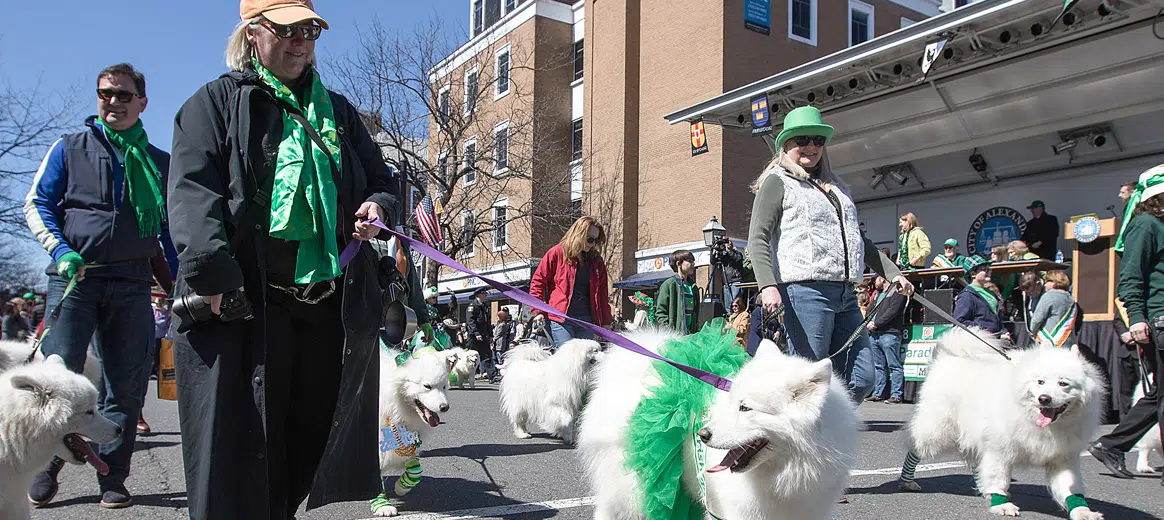 Alexandria celebrates St. Patrick's Day Arlington Catholic Herald