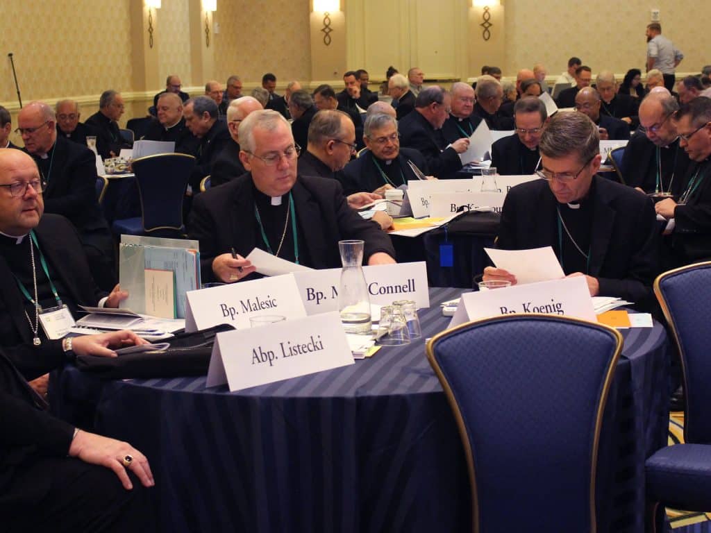 Concile Here’s what’s on the U.S. bishops’ assembly agenda - Arlington Catholic ...