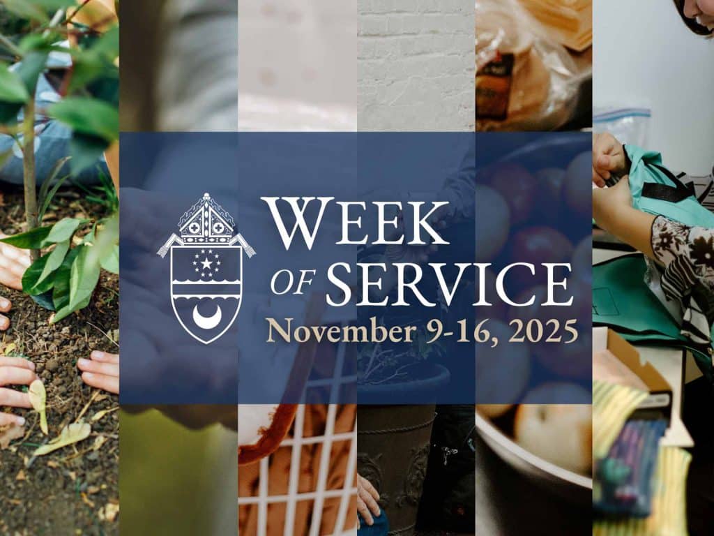 In Service Week First-ever Diocesan Week of Service to unite parishes in ministry ...