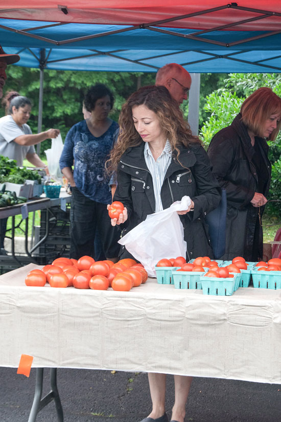 tomato tomato