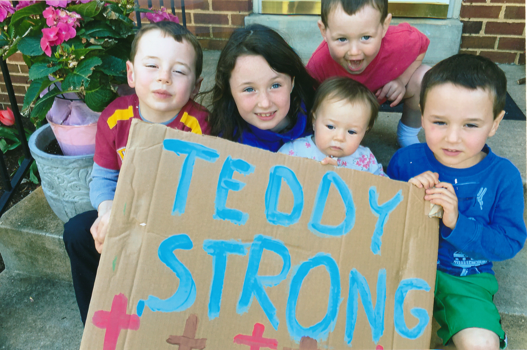 teddy strong teddy strong