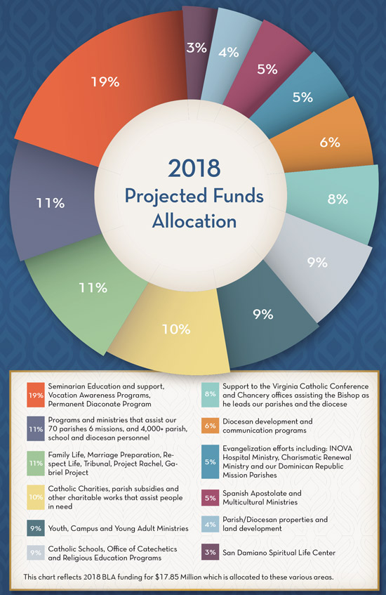 2018 BLA pie chart 2018 BLA pie chart