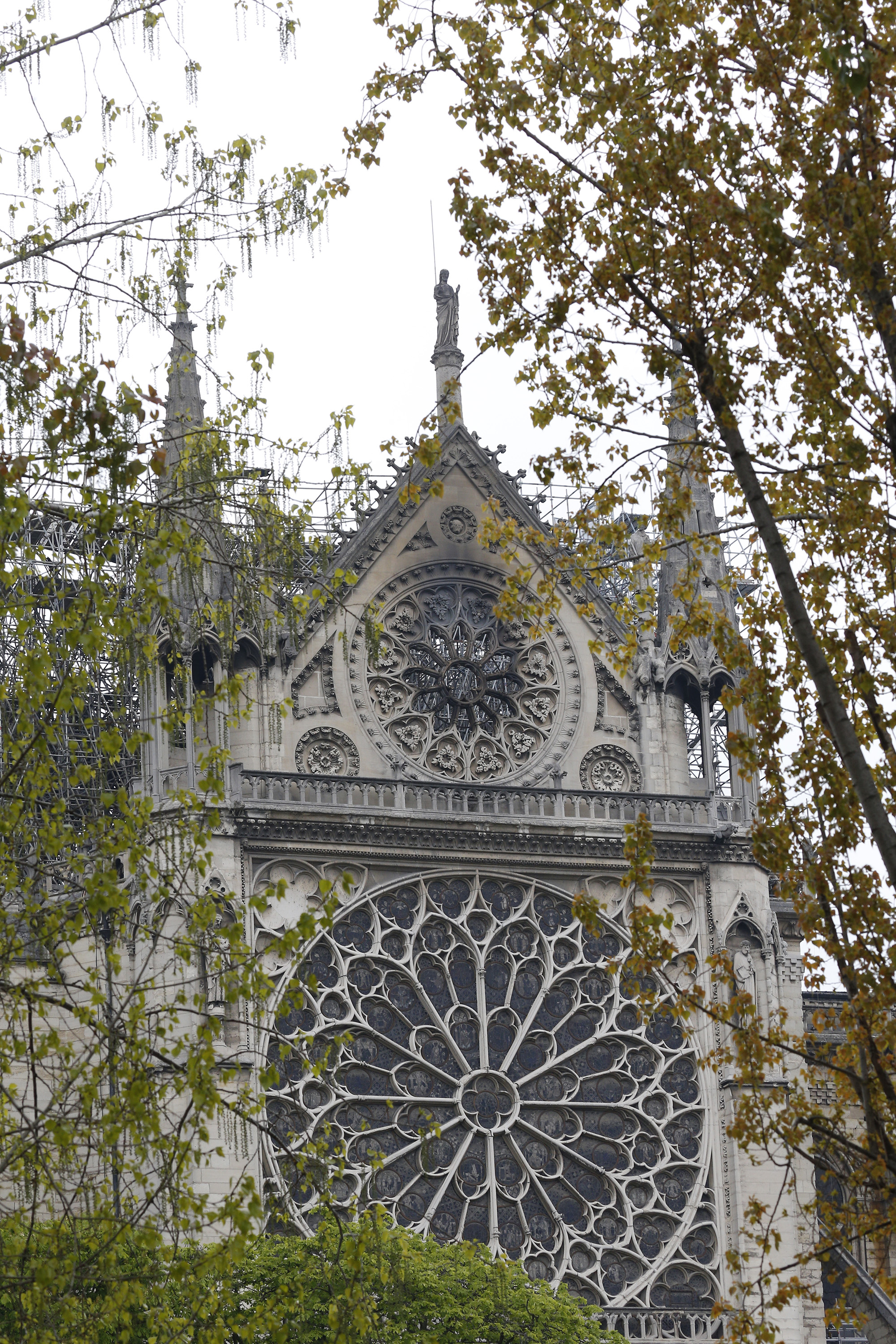 notre dame windows notre dame windows