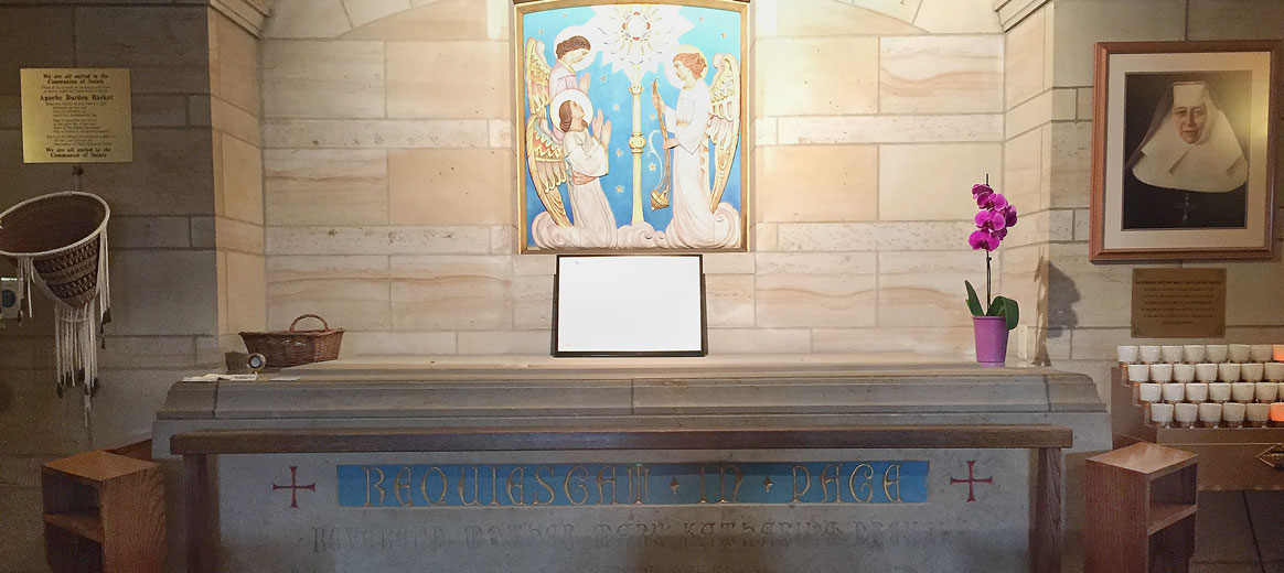 crop st katharine crop st katharine